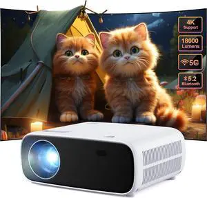 Projector with WiFi and Bluetooth, 2024 Upgraded Native 1080P Mini Bluetooth Projector, 18000L Movie Video Projector Outdoor, 200" Max Bild Compatible with Android/iOS/Laptop/TV Stick/X-Box/HDMI/USB