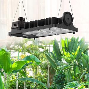 LED Grow Light for Indoor Plants, 1000W LED Grow Light with Optical Lens for High PPFD, Energy Saving Dimmable Full Spectrum Plant Light for 2x4/3x3ft Grow Tent Seeding, Growing