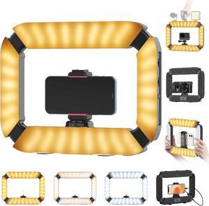 Smartphone Video Rig PICTRON U200 Handheld LED Ring Light Selfie Light Phone Video Stabilizer for Camera, Smartphone, Action Camera, YouTube, Setup, Filmmaking, Makeup, Vlogging