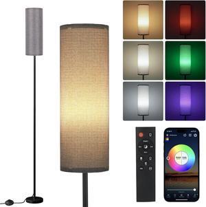 Gray Floor Lamps for Bedroom, Dimmable Colors Temperature & Brightness, Plug in Modern Floor Lamps for Living Room, Tall Standing Lamps for Office, Corner Lamp, 9W RGB LED Bulb, NO Battery