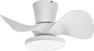 Quiet Ceiling Fan with LED Light 22 inch Large Air Volume Remote Control for Kitchen Bedroom Dining Room Patio