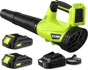 lectric Cordless Leaf Blower with 2 Batteries and Charger, 2 Speed Mode, Lightweight Leaf Blowers for Blowing Leaves, Patio Cleaning, Lawn Care and Dust