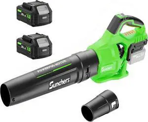 Cordless with 2 x 4.0Ah Battery and Charger, 580CFM 160MPH Electric Blower with 2 Speeds, 20V Handheld Leaf Cleaner for Lawn Care, Blowing Leaves, Dust, Snow, Gravel for Patio, Yard, Green
