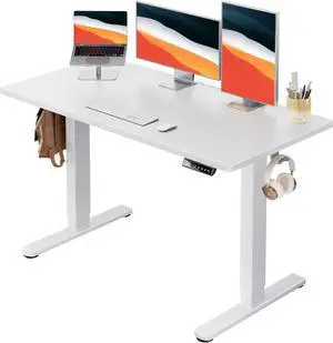 Electric Standing Desk, 48" x 24" Whole Piece Desktop, Adjustable Height Computer 4 Memory Settings, Sit Stand Up Desk for Home Office, White by DT