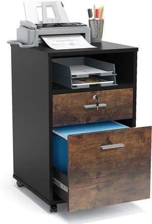 2 Drawer Mobile File Cabinet with Lock, Wood Modern Filing for Letter Size, Printer Stand Rolling Wheels and Open Storage Shelf Home Office(Rustic Brown) by DT