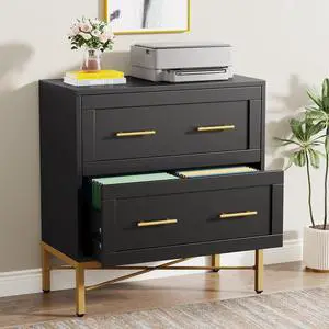 2 Drawer File Cabinet, Modern Wood Lateral Filing Cabinet for Letter/Legal/A4 Size, Large File Storage Cabinets Printer Stand with Storage for Home Office, Black and Gold