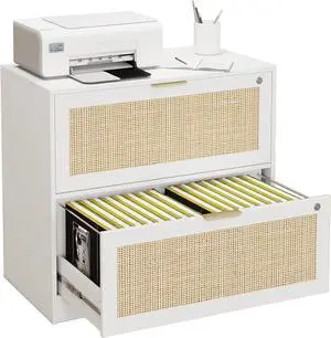 2 Drawer File Cabinet with Lock, Printer Stand Lateral Filing Cabinets for Home Office and School, Wood Rattan File Cabinet for Hanging Files/Letter/Legal/A4/F4 Size, White
