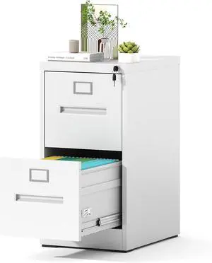 2 Drawer File Cabinet, Vertical File Cabinet with Lock, Metal Locking Filing Storage Cabinet for Home Office, Hanging Files for A4/ Legal/Letter,White