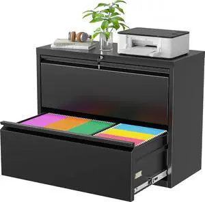 Metal Lateral File Cabinet with Lock, 2 Drawer File Cabinet, Black Filing Cabinets with Lock, Filing Cabinets for Home Office/Legal/Letter/A4, Home Office Furniture for Hanging File