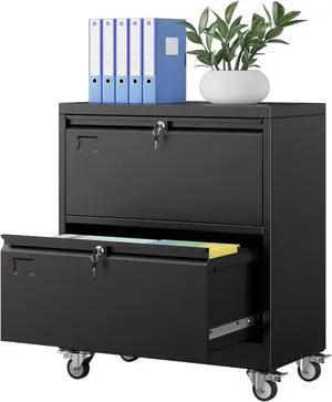 2 Drawer Wide File Cabinet with Wheels, Lockable Metal Filing Cabinet for Home Office, Legal/Letter Size,Black,Required Assembled,15.87" D x 28.94" W x 34" H