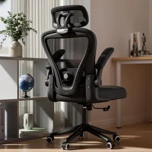 Computer Desk Chair, Ergonomic Office Chair M903 with Wheels, High Back Mesh Office Chair with Adjustable Lumbar Support, Headrest, Flip-Up Armrests, Black