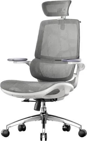 M59AS Ergonomic Office Chair, Desk Chair with 3D Flip-up Armrests, Computer Chair with Dual Back Design and Adaptive Dynamic Lumbar Support