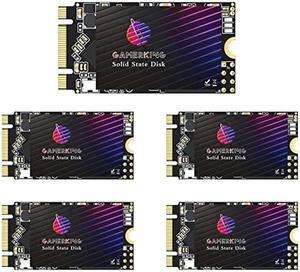Gamerking SSD M.2 2242 64GB High Performance Internal Solid State Drive for Desktop Laptop 5 Unit Package Pack [64GB(5 Packs),M.2 2242]
