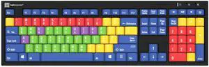 Logickeyboard Kids Learning Board  Teaching Vowels and Consonants, and Lowercase vs Capital Letters  for School and Private use  Plug-and-Play with Windows 7-11 - LKB-LBHS-BJPU-US