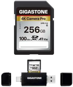 [5-Yrs Free Data Recovery] GIGASTONE 256GB SD Card with USB Type C Card Reader, 4K Camera Pro, A1 V30 U3 SDXC Memory Card Compatible with Canon Digital Camera, with 1 Mini case