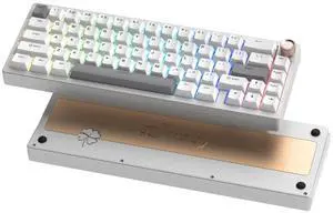 Womier SK65 Wireless Mechanical Gaming Keyboard with Knob, 60 Percent Aluminium Keyboard for PC, Bluetooth 5.0/2.4GHz/USB-C Wired, Hot Swappable Custom Lineaner Switch, RGB Backlit (Silver V2)