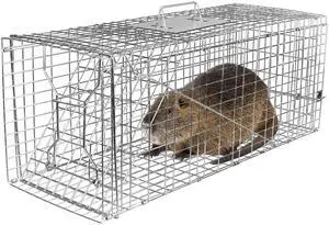 Fresh Fab Finds Humane Cat Trap Cage Collapsible Galvanized Rodent Trap for Raccoons & More - Gray - One size Fresh Fab Finds Humane Cat Trap Cage Collapsible Galvanized Rodent Trap for Raccoons & More - Gray - One size
