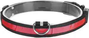 Fresh Fab Finds LED Dog Collar USB Rechargeable Night Safety - Red - Medium