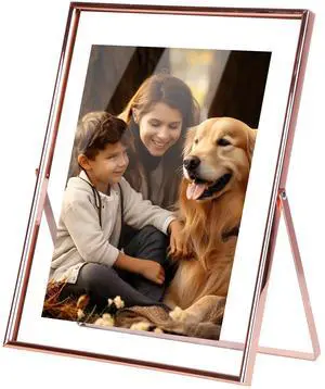 Fresh Fab Finds 2Pcs Rose Gold Metal Picture Frames 5x7 8x10 Floating - Brown - Large