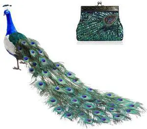 Vista Peacock Crazy Clutch Eye-catching Ensemble In 8 Colors - Pink Vista Peacock Crazy Clutch Eye-catching Ensemble In 8 Colors - Pink