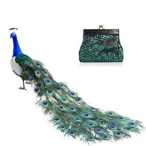Vista Peacock Crazy Clutch Eye-catching Ensemble In 8 Colors - Green Vista Peacock Crazy Clutch Eye-catching Ensemble In 8 Colors - Green