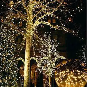 Vista Firefly Solar mini LED Christmas lights on String - Warm White Vista Firefly Solar mini LED Christmas lights on String - Warm White