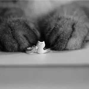 Vista My Cute Kitten Fashion Ring In 925 Brushed Sterling Silver - Silver Vista My Cute Kitten Fashion Ring In 925 Brushed Sterling Silver - Silver