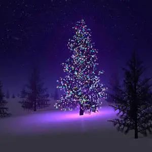 Vista Colorful Firefly - Solar mini LED Christmas lights on Strings - Multi Colors Vista Colorful Firefly - Solar mini LED Christmas lights on Strings - Multi Colors
