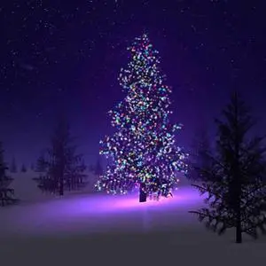 Vista Colorful Firefly - Solar mini LED Christmas lights on Strings - Multi Colors Vista Colorful Firefly - Solar mini LED Christmas lights on Strings - Multi Colors
