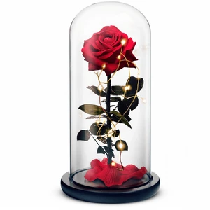 Beauty and the Beast // Red Beauty and the Beast // Red
