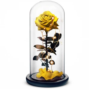 Beauty and the Beast // Yellow Beauty and the Beast // Yellow