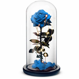 Beauty and the Beast // Blue Beauty and the Beast // Blue