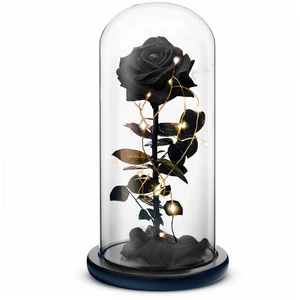 Beauty and the Beast // Black (Small) Beauty and the Beast // Black (Small)
