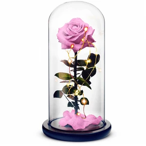 Beauty and the Beast // Pink Beauty and the Beast // Pink