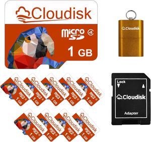 1GB 10Pack Cloudisk MicroSD Memory Card Class 4 TF Card Flash Memory Card for Early smartphone Low pixel camera MP3 player small files text storage and more With SD Adapter and USB Flash Drive