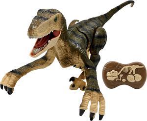Lexibook RC Velociraptor remote controlled dinosaur simulation with realistic sound effects - DINO01