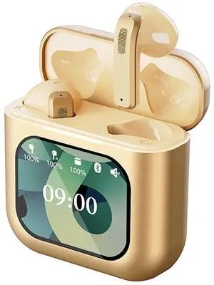 Gold Bluetooth 5.2 Earbuds with 2.01" Touch Screen Case, 8G MP3 Storage & Noise Cancelling