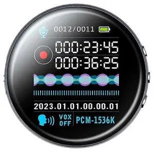 Ecocleanpath 64GB Voice Activated Recorder with Screen - 1000H Recording, USB-C, Visual Playback for Lectures & Meetings