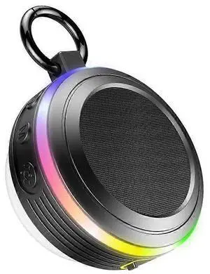 Ecocleanpath T9 Portable Bluetooth Speaker with Light Show, IPX7 Waterproof, FM Radio & Microphone, Black