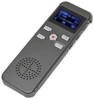 Ecocleanpath 16G Digital Voice Recorder with HD Noise Reduction, Power-Off Save & MP3 Playback (Black)