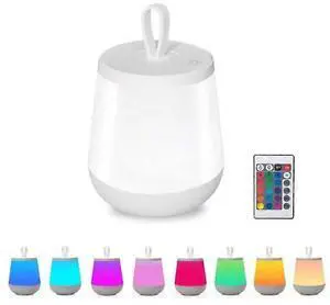 Ecocleanpath Rechargeable LED Bedside Lamp with Remote, 24 Color Changing Night Light for Kids Room & Bedroom