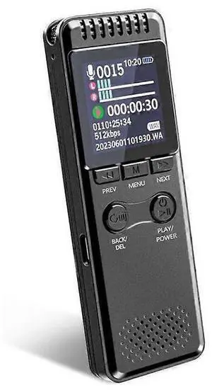 Ecocleanpath Professional USB-C Voice Recorder: 80H Battery, 1536kbps Clear Recording, Voice Control for Lectures & Meetings [Black]