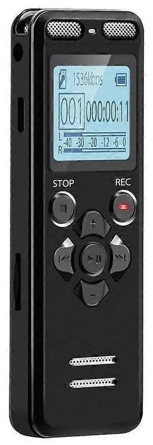Ecocleanpath 8GB Voice Activated Recorder with 72GB Memory, Password Lock & Playback Control for Lectures/Meetings - Black