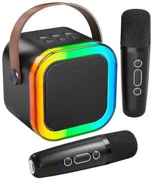 Ecocleanpath Portable Bluetooth Karaoke Machine with 2 Wireless Mics, Lights & Power Bank for Kids & Adults