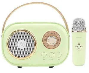 Ecocleanpath C20 Plus Mini Karaoke Machine with Wireless Mic, 6 Voice Effects, Portable Bluetooth Speaker for Kids & Parties