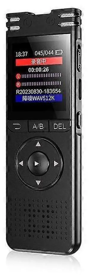 Ecocleanpath 64GB Voice Activated Recorder with Playback - HD Recording for Lectures, Meetings, Password Protected