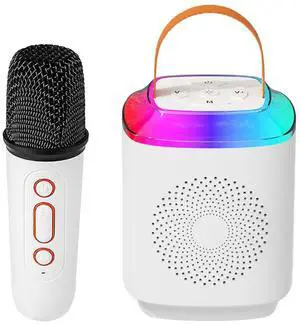 Ecocleanpath Portable Karaoke Machine with Wireless Mic, Bluetooth 5.3 Speaker & LED Lights for Kids & Adults (White)