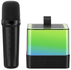 Ecocleanpath Portable Bluetooth Karaoke Machine with Wireless Mic & RGB Lights - Mini Speaker for Kids & Adults (Black)