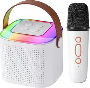Ecocleanpath Portable Bluetooth Karaoke Speaker with Wireless Mic | 6-10H Playback, Party Lights, White