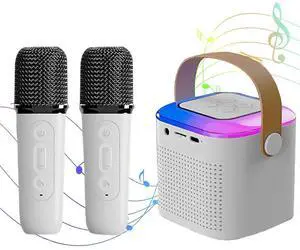 Ecocleanpath Mini Karaoke Machine with 2 Wireless Mics, Bluetooth 5.3 Speaker, 7 Color Lights & Long Battery - For Kids & Adults